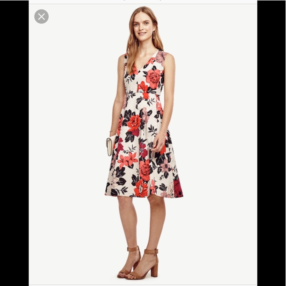 Ann Taylor floral black & orange dress size 00 NWT